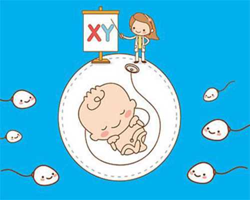 东莞代生具体位置,东莞试管婴儿需要多少钱？