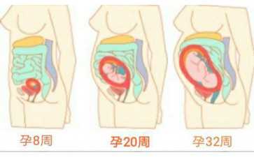 东莞代怀孕网费用,东莞供卵机构包生儿子