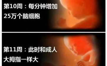 试管移植后饮食一览表吃什么好？-试管包生男孩