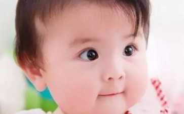 智齿发炎对试管婴儿胚胎移植有什么影响吗？智齿发炎会影响别的牙齿吗？~~捐卵医院地址