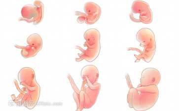 泰国杰特宁医院YOKO医生怎么样?移植成功率高不高?