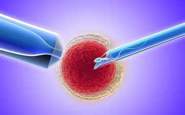 雪诺酮为什么不能塞深？雪诺酮塞太深会不会影响胚胎着床？--捐卵机构电话