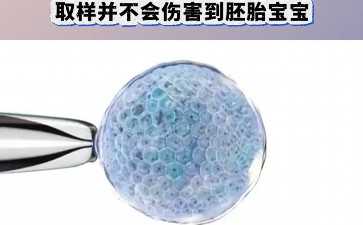 东莞专业代怀地址,东莞试管婴儿费用多少钱呢？