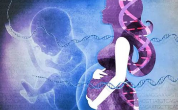 东莞gay代孕,2025东莞*不排队医院名单推荐附**双胞胎费用